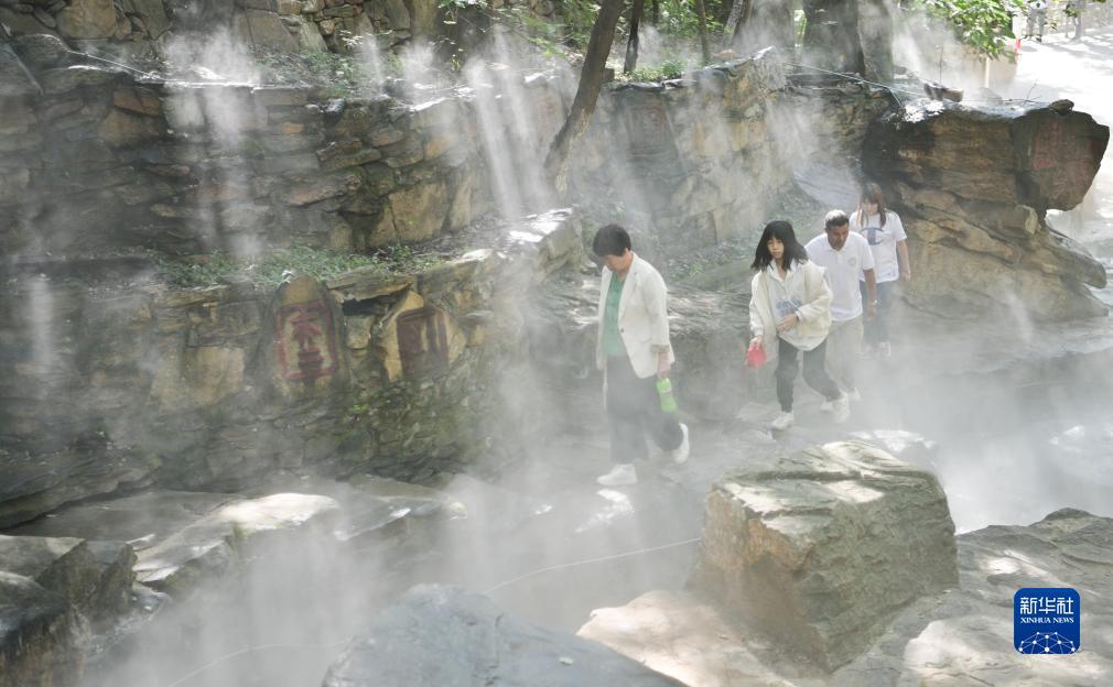 金博集团2019